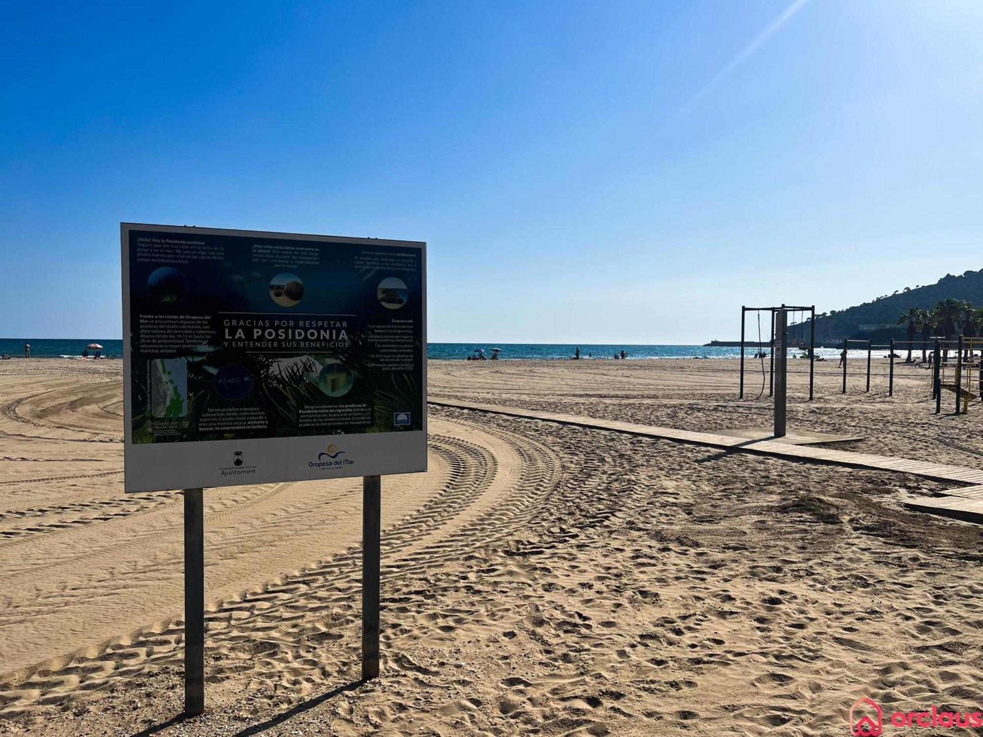 El Paraiso En Playa Concha Oropesa del Mar Exteriér fotografie